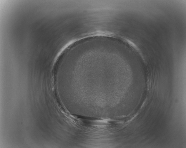 X0000080181310200612151938