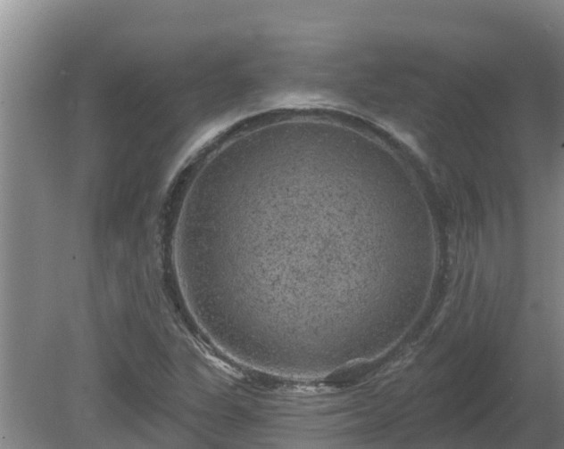 X0000080181311200612151938