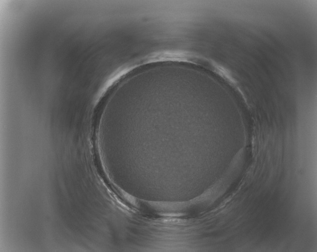 X0000080181312200612151938