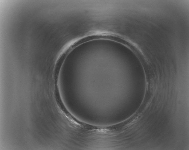 X0000080181319200612151938