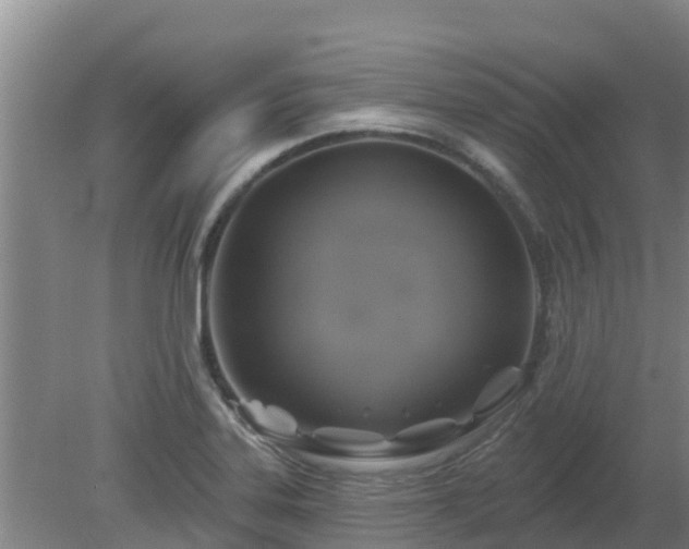 X0000080181323200612151938