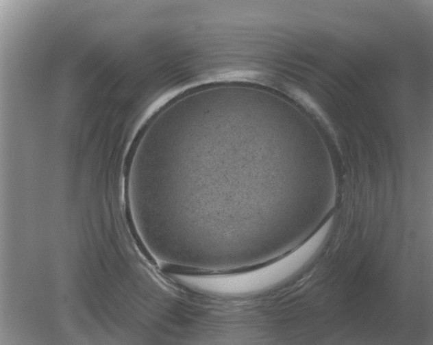 X0000080181324200612151938