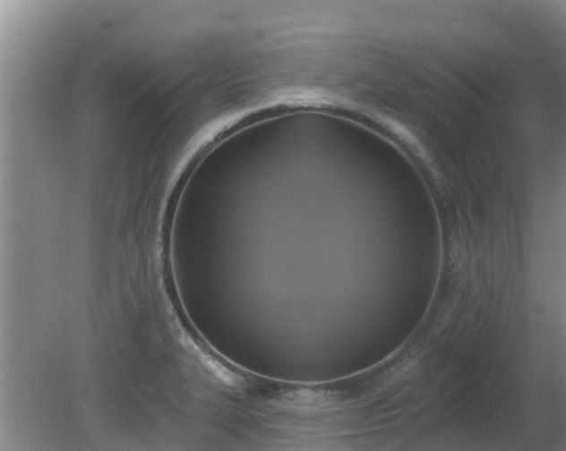 X0000080181327200612151938