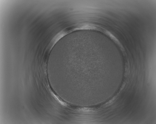 X0000080181329200612151938