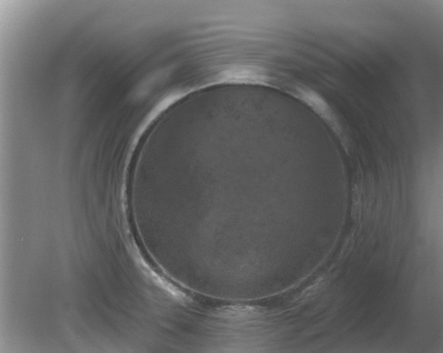 X0000080181331200612151938