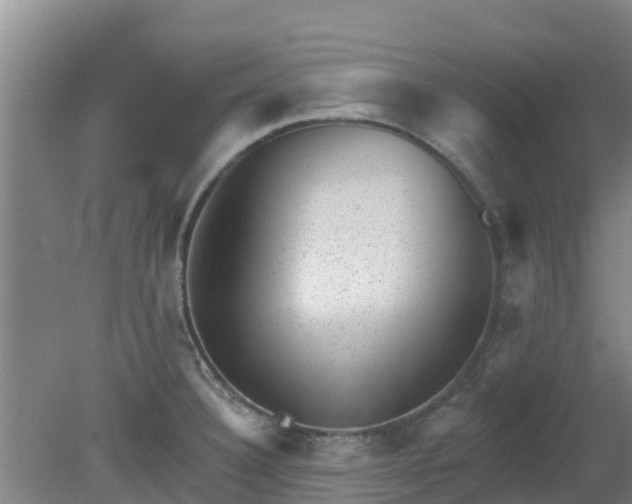 X0000080181332200612151938