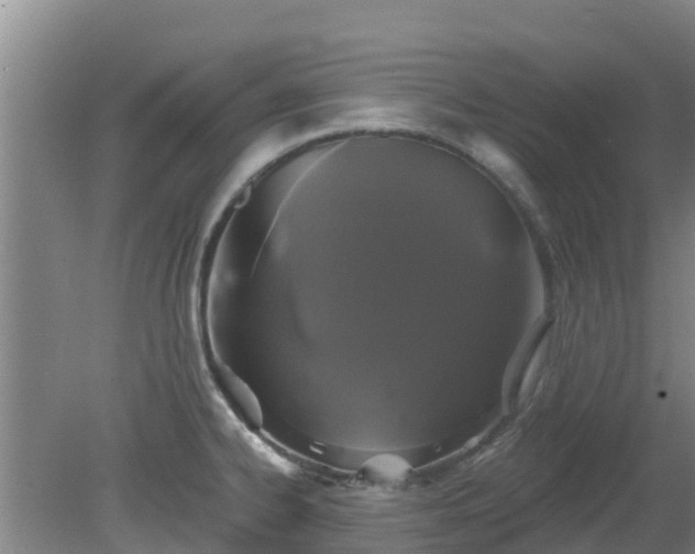 X0000080181334200612151938