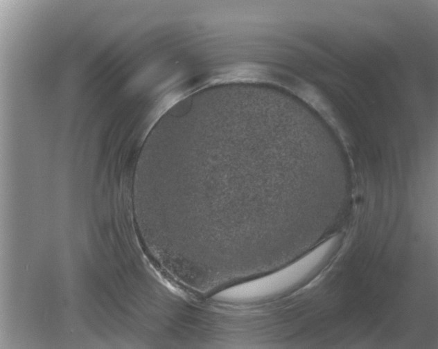 X0000080181337200612151938