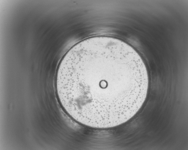 X0000080181338200612151938