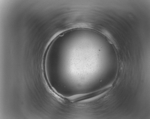 X0000080181339200612151938