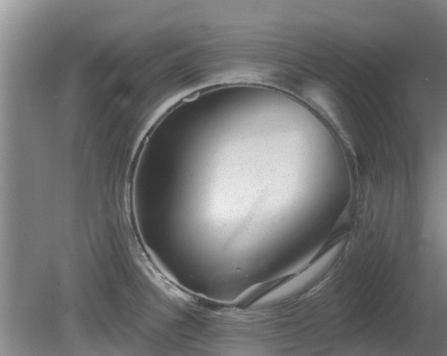 X0000080181340200612151938