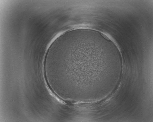 X0000080181341200612151938