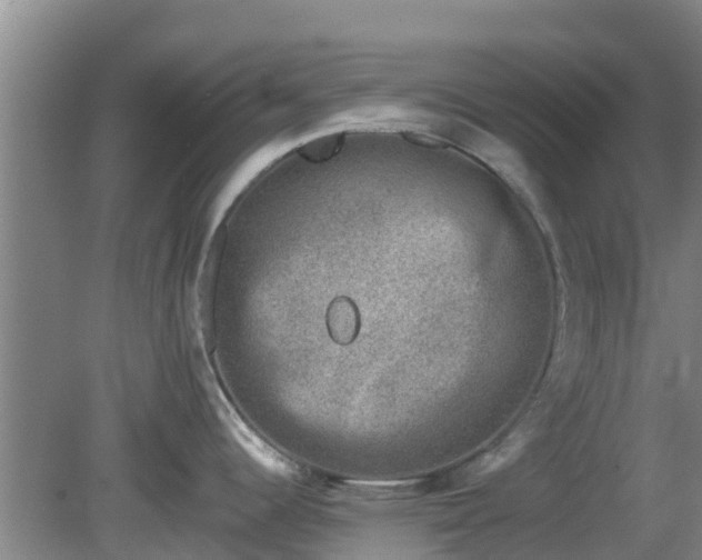 X0000080181344200612151938