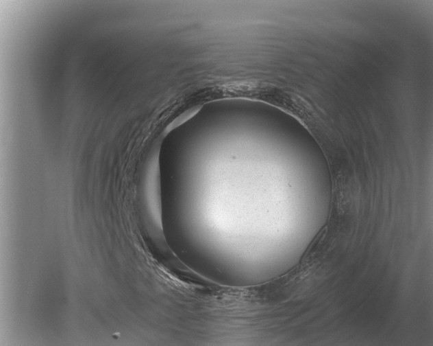 X0000080181345200612151938