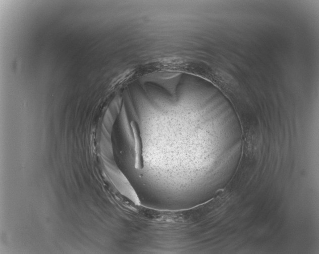 X0000080181346200612151938