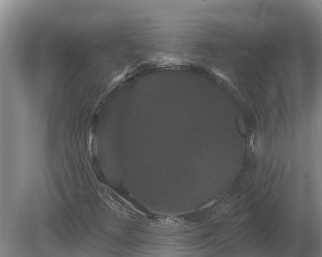 X0000080181348200612151938