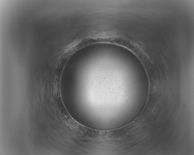 X0000080181350200612151938