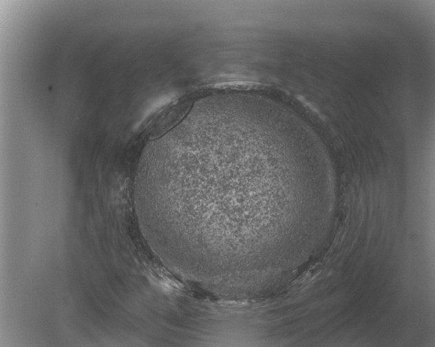 X0000080181351200612151938