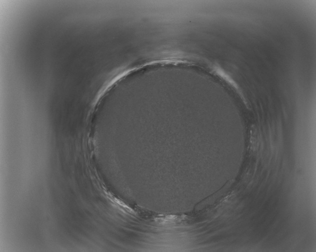 X0000080181352200612151938