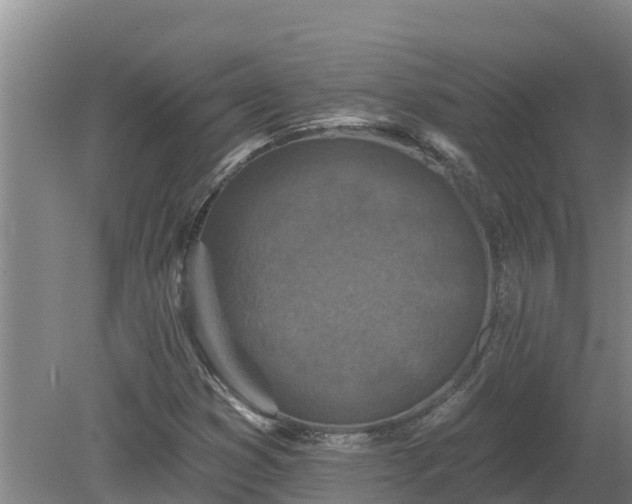 X0000080181353200612151938