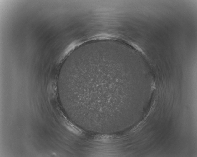 X0000080181355200612151938