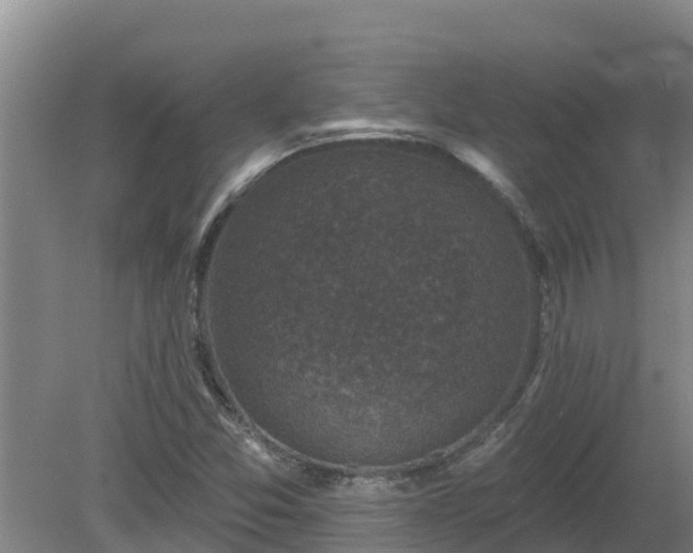 X0000080181357200612151937