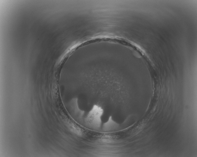 X0000080181359200612151937