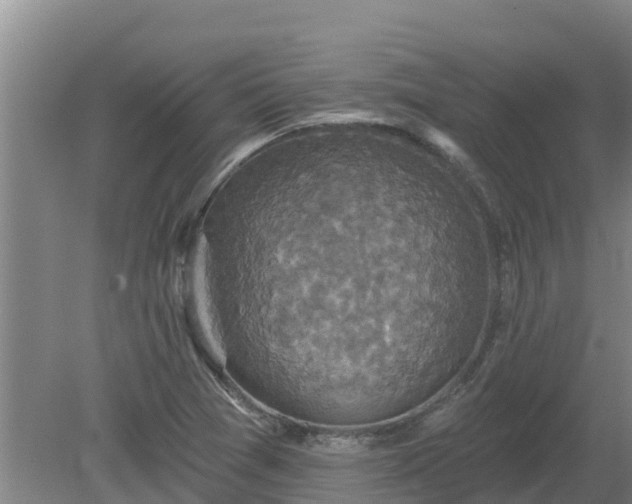 X0000080181361200612151937