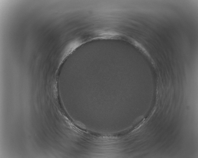 X0000080181362200612151937