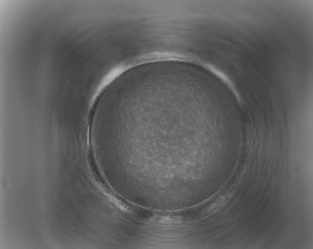 X0000080181365200612151937