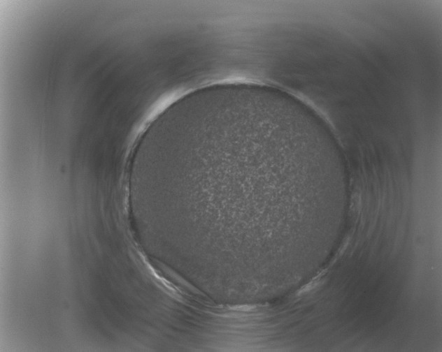 X0000080181367200612151937