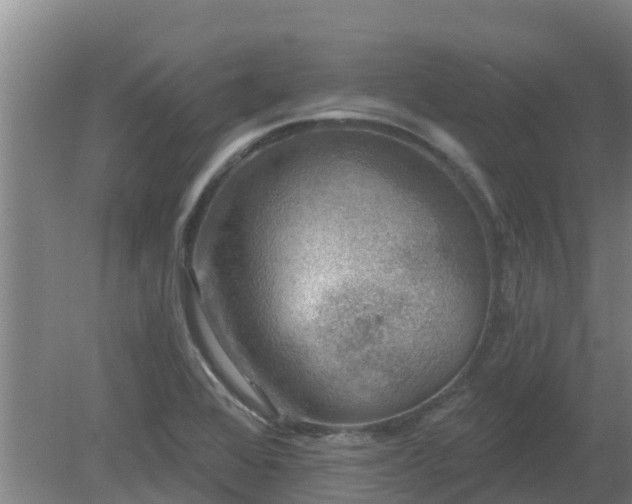 X0000080181368200612151937