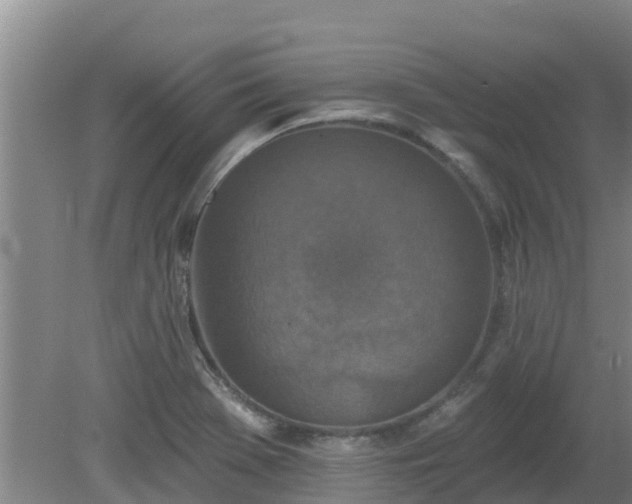 X0000080181369200612151937