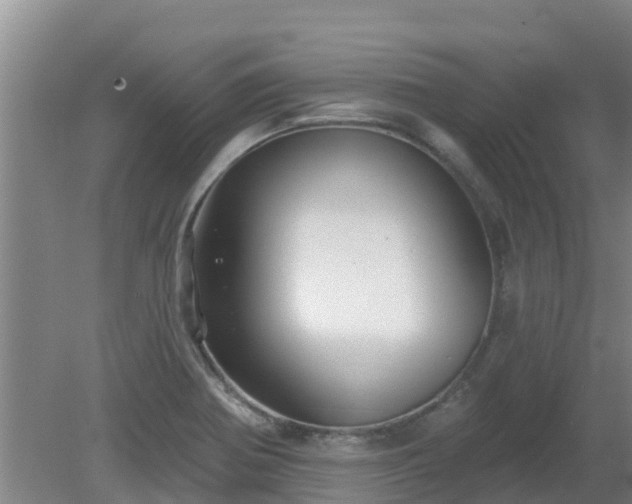 X0000080181370200612151937