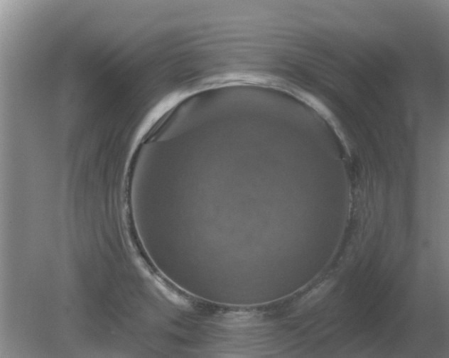 X0000080181373200612151937