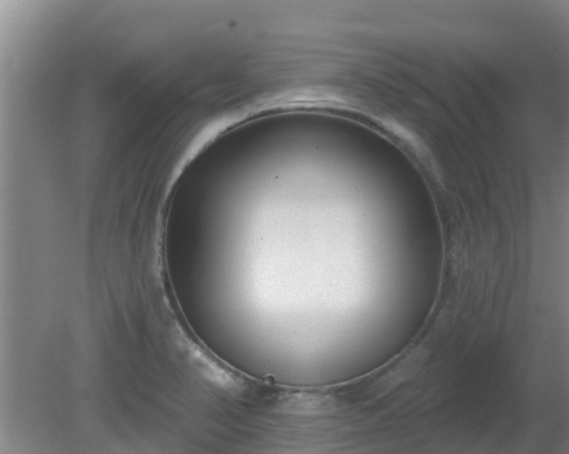 X0000080181374200612151937