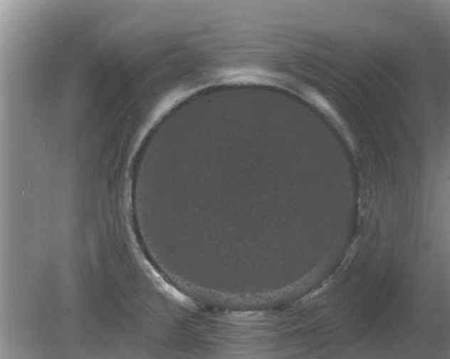 X0000080181376200612151937