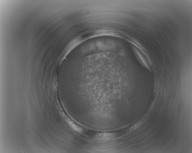 X0000080181377200612151937