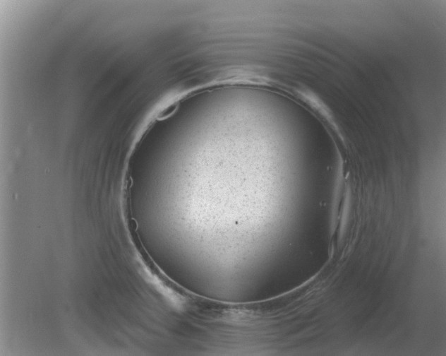 X0000080181379200612151937