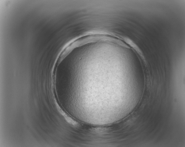 X0000080181380200612151937