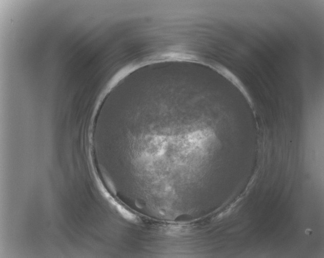 X0000080181381200612151937