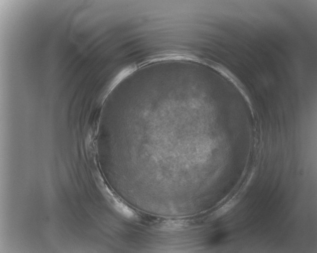 X0000080181385200612151937