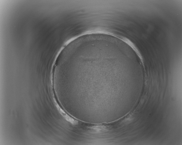 X0000080181388200612151937