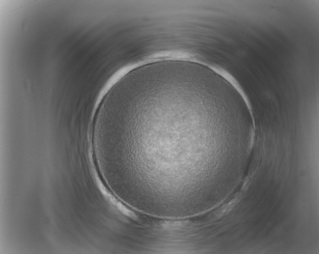 X0000080181389200612151937