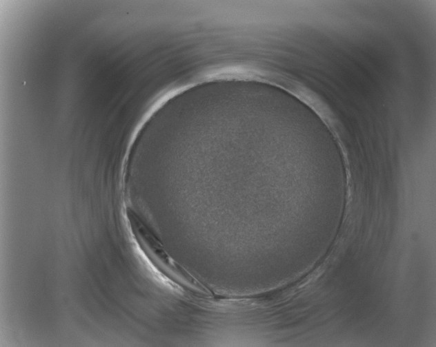 X0000080181392200612151937