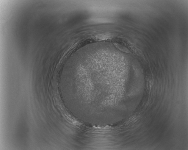 X0000080181393200612151936