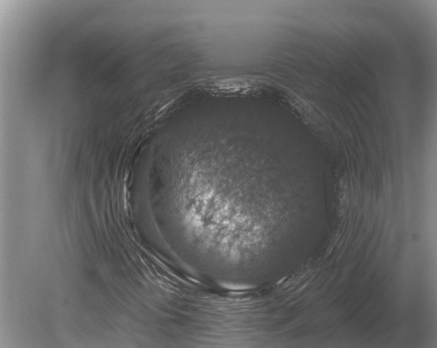 X0000080181394200612151936