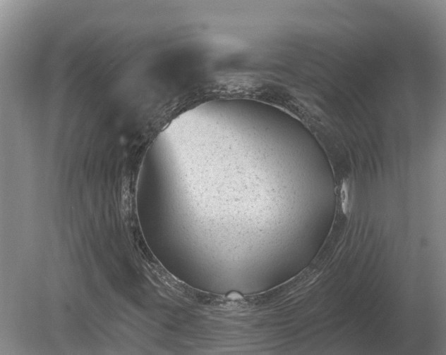 X0000080181395200612151936