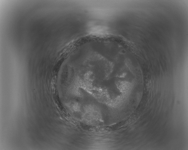 X0000080181397200612151936