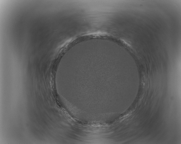 X0000080181398200612151936